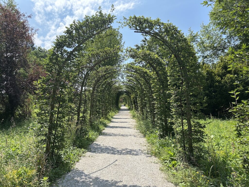 at the end of the estate there is a small orchard and vegetables garden.
