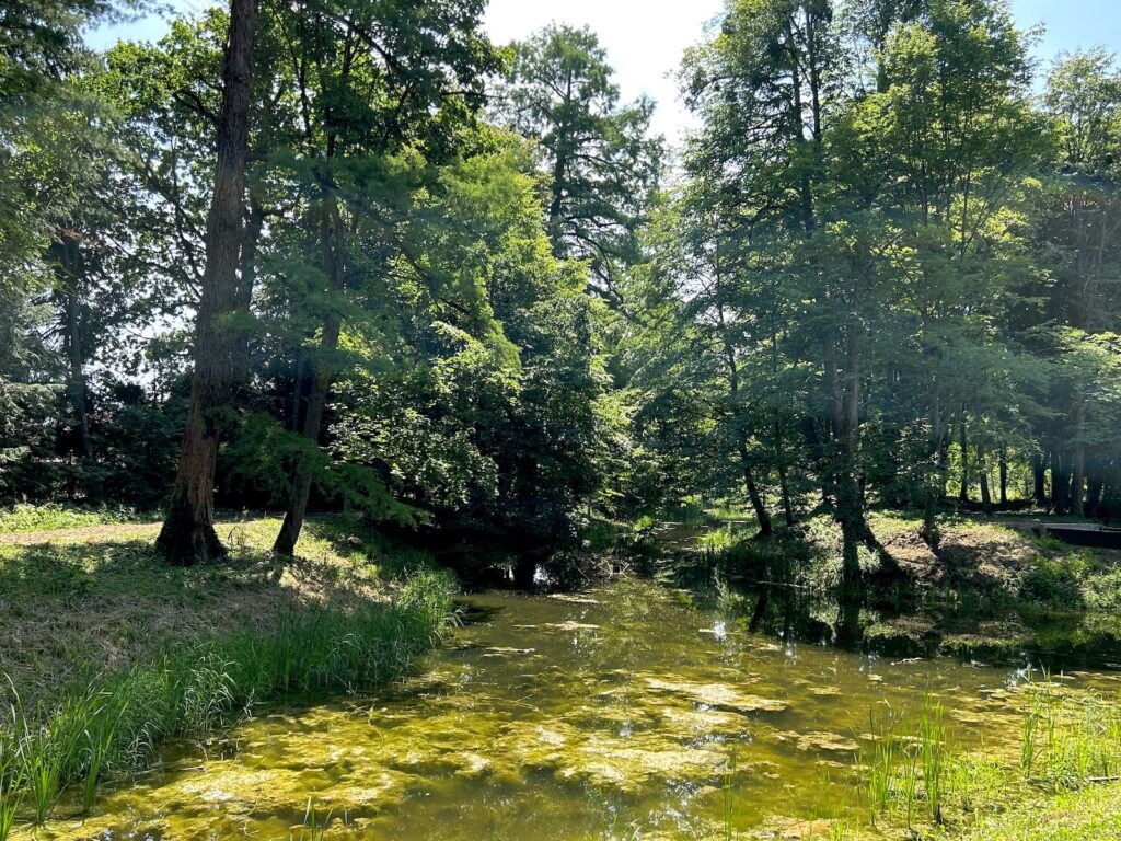 The small lake near the edge of the park is believed to be a remnant of the area where clay was extracted, a quiet reminder of how Opeka got its name.
